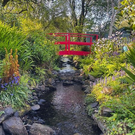 Streamside B And B With Parking Drimoleague Esterno foto