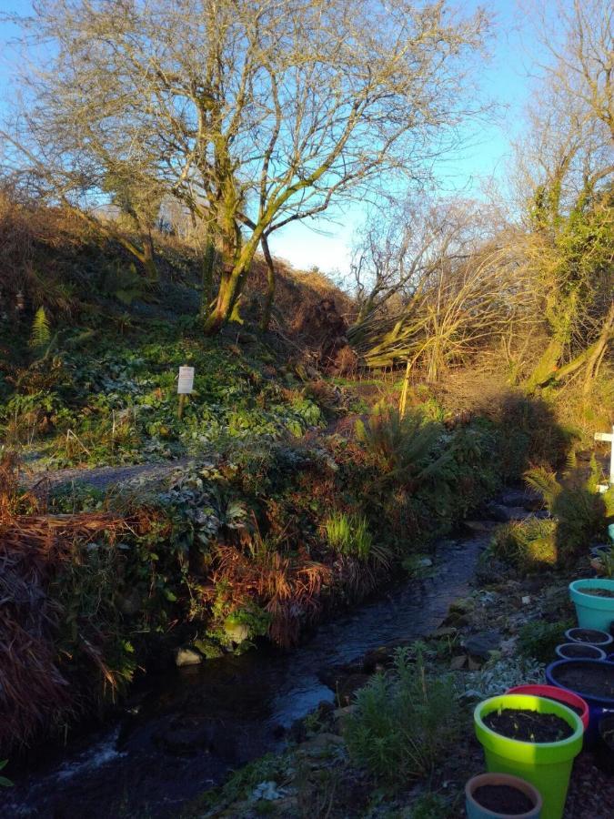 Streamside B And B With Parking Drimoleague Esterno foto